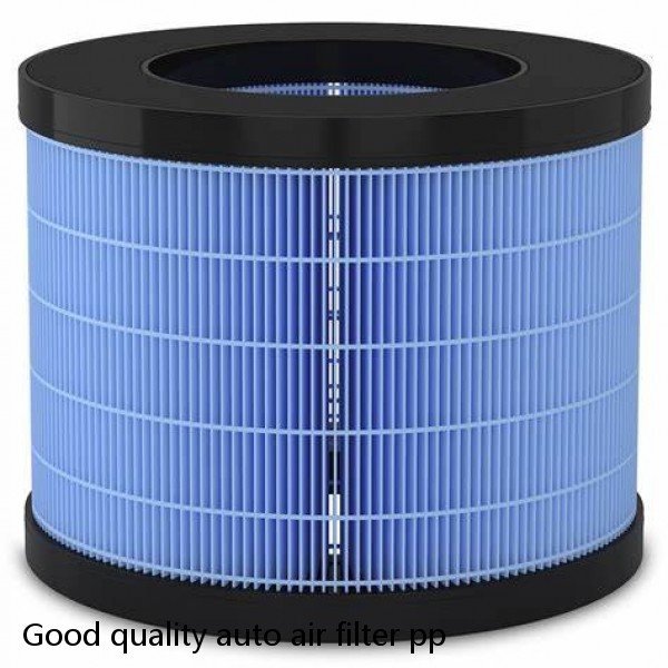 Good quality auto air filter pp