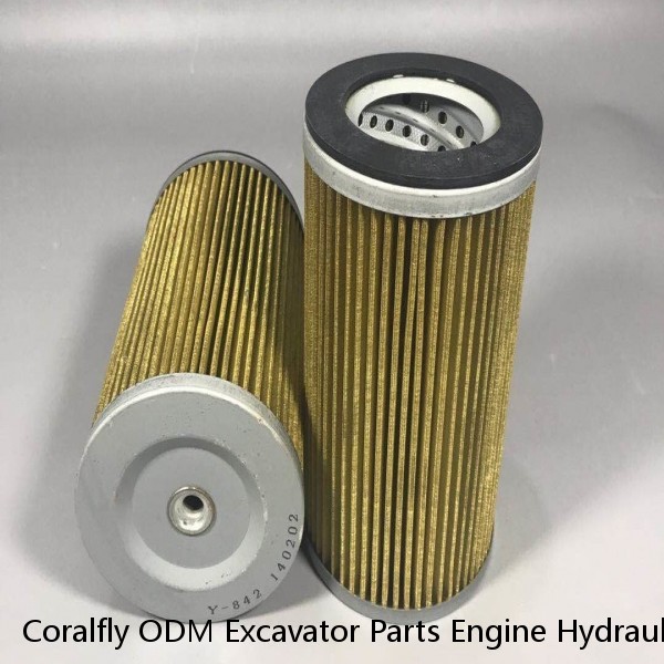 Coralfly ODM Excavator Parts Engine Hydraulic Oil Filter 3434465 WG917 P573300 PT9483-MPG HF29157