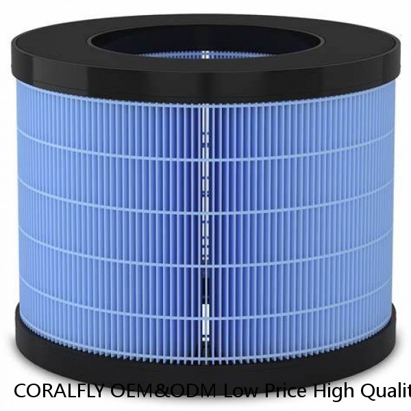 CORALFLY OEM&ODM Low Price High Quality Fuel Filter 20430751 FF5507 P550739 BF7814 7420972291 7420875666