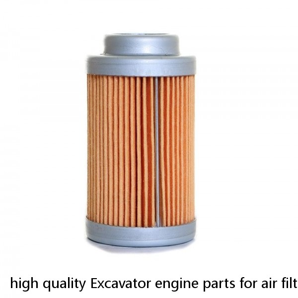 high quality Excavator engine parts for air filter 26510380