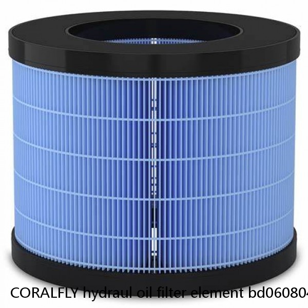 CORALFLY hydraul oil filter element bd06080425u #1 image
