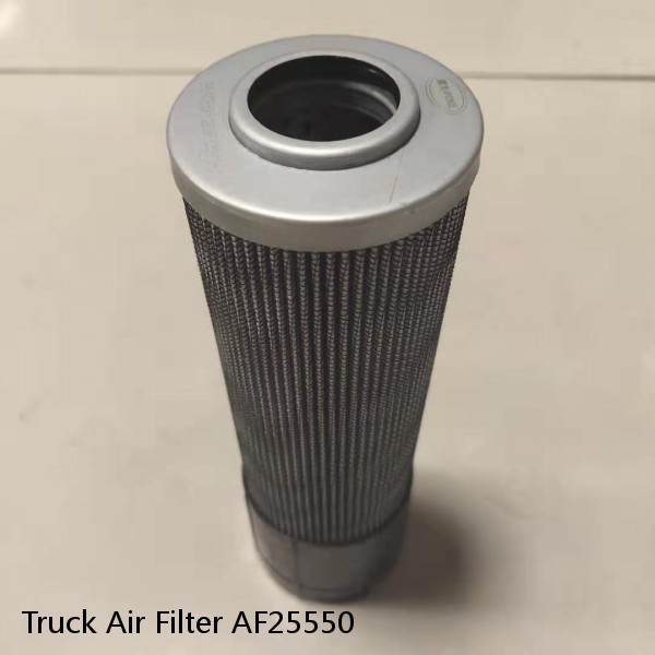Truck Air Filter AF25550 #1 image