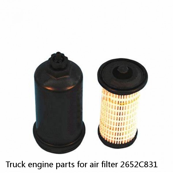 Truck engine parts for air filter 2652C831 #1 image