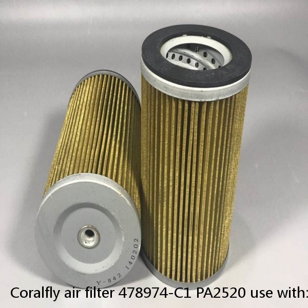 Coralfly air filter 478974-C1 PA2520 use with: PA2586 #1 image