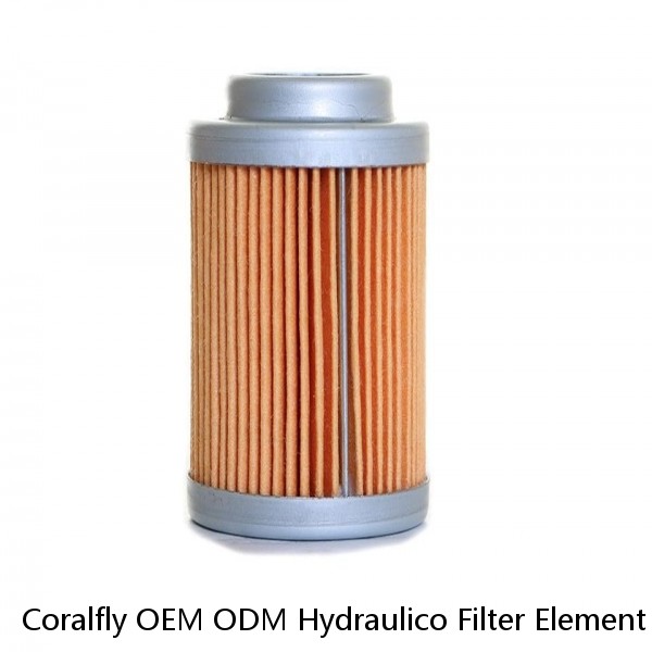 Coralfly OEM ODM Hydraulico Filter Element HP0502A06AN MR2504A10A MF1002A25HBP01 For MP Filtro #1 image