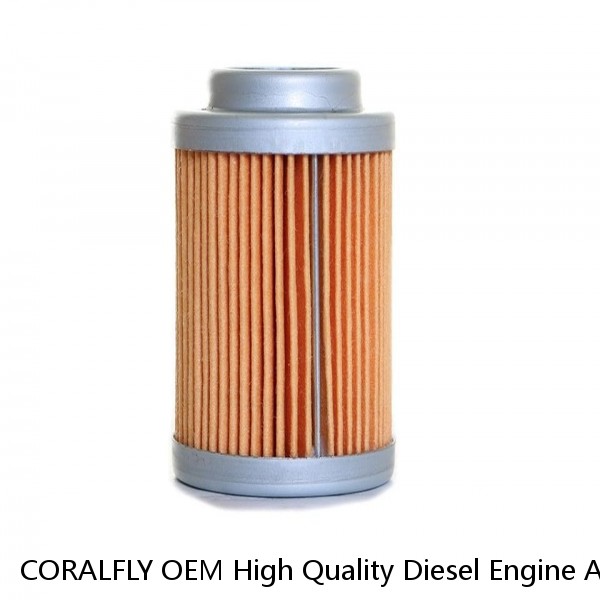 CORALFLY OEM High Quality Diesel Engine Air Filter P534925 #1 image